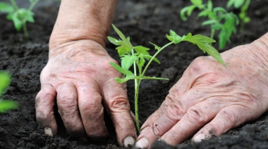 La gran cocina de Unilever: la compañía procesa en Mendoza 15.000 tn de vegetales por año