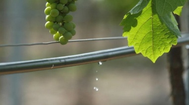 Productores y pymes de Mendoza invertirán $4.600 M en eficiencia hídrica y energética