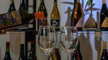 Envinados, la primera tienda mendocina de vinos orgánicos, biodinámicos y naturales
