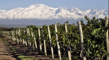 Prestigiosa bodega mendocina logra que le otorguen un sello de calidad a una zona del Valle de Uco