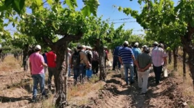 Buscan a profesionales mendocinos para trabajar en el INTA: lo que hay saber
