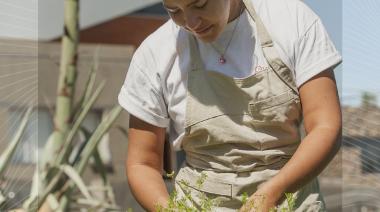 Concepto "Raw Food" y vinagre de rosas: cómo es el nuevo restorán de Achaval Ferrer en Luján