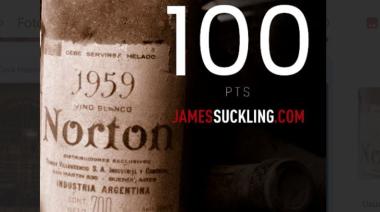 Joya enológica: por primera vez en la historia, un semillón argentino fue calificado con 100 puntos