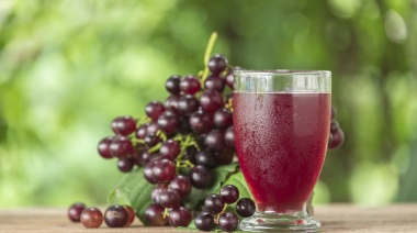 Argentina podrá exportar mosto a EE.UU. sin sanciones arancelarias