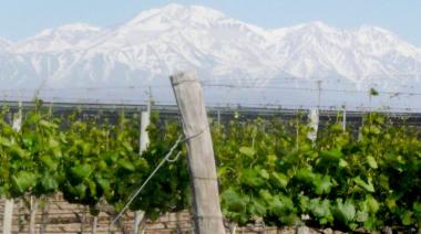 Economía circular: Luján presentó un proyecto para regenerar las zonas de cultivo vitivinícola
