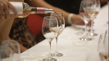 De Mendoza al país: lanzan el Club Vea Vinos a nivel nacional (el club de vinos más importante de Sudamérica)