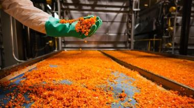 Knorr abrió las puertas de su planta en Mendoza: única deshidratadora de Unilever en el mundo y la más grande de Argentina