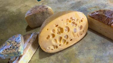 El mejor queso del país es mendocino: reconocimiento nacional para La Linqueñita
