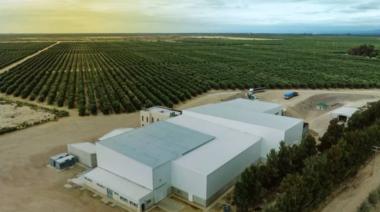 Solfrut instaló en San Juan la planta industrial de aceite de oliva más grande de Latinoamérica