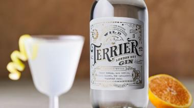 Novedad en el mundo de la coctelería: lanzan el primer gin en envase Bag in Box