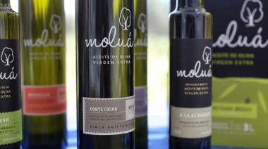 Un aceite de oliva maipucino, el mejor en la feria de gastronomía más importante del país