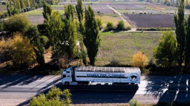 Frigorífico María del Carmen celebra sus 50 años en Mendoza y se prepara para exportar