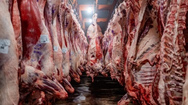 Frigorífico María del Carmen celebra sus 50 años en Mendoza y se prepara para exportar