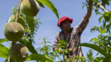 Agro 4.0, la nueva formación en el rubro agrícola que ofrecen el ITU y el INTA