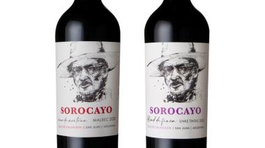 "Sorocayo": así es el nuevo proyecto enoturístico de alta gama en el Valle de Calingasta