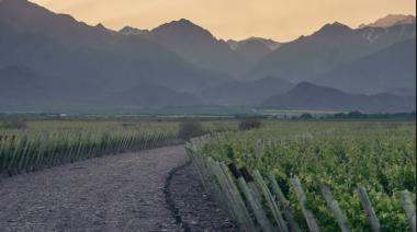 22 bodegas presentaron la IG Los Chacayes por primera vez en Buenos Aires