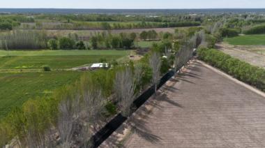 Avanza una obra estratégica para la vitivinicultura de alta gama en Valle de Uco