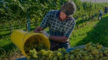 Aún con la incertidumbre, Mendoza registró un fuerte repunte del empleo eventual