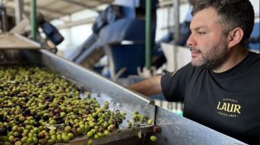 Nueva estrella: Olivícola Laur fue elegida la mejor del mundo por tercera vez consecutiva