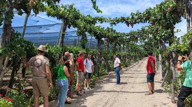 Turismo rural:  el lugar de Mendoza famoso por sus quesos de cabra, membrillos y bodegas familiares