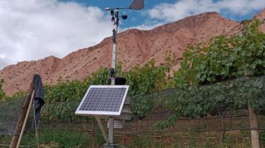 Omixom, la empresa cordobesa que desarrolla tecnología climática para proteger los viñedos del país