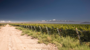 La empresa que exporta malla antigranizo de Mendoza al mundo