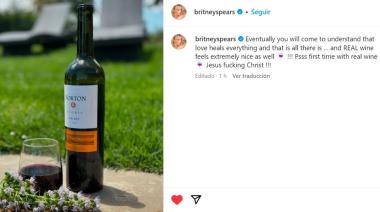 El vino argentino que impactó a Britney Spears: cuál es y qué opinó al probarlo