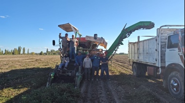 Tomate: un productor mendocino fue reconocido por alcanzar el mayor rendimiento por hectárea