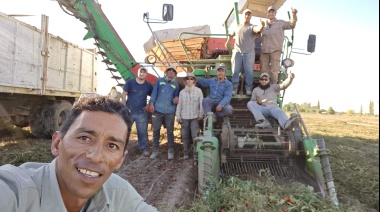 Tomate: un productor mendocino fue reconocido por alcanzar el mayor rendimiento por hectárea