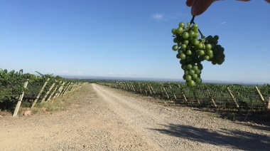 Mendoza fue elegida entre los 20 mejores destinos gastronómicos del mundo