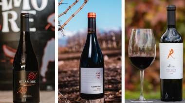Este Cabernet Franc de Mendoza fue elegido entre los mejores de Argentina y Chile