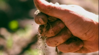 Mendoza será sede del 15º Congreso Internacional del Terroir