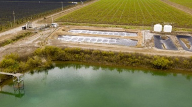 Viñedos orgánicos, producción de compost y talleres de oficios: bodega Santa Julia alcanzó un nuevo sello de calidad