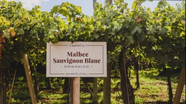 Viñedos orgánicos, producción de compost y talleres de oficios: bodega Santa Julia alcanzó un nuevo sello de calidad