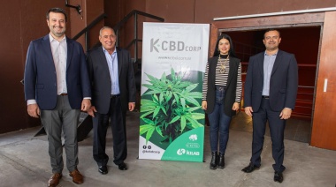 Está en Mendoza: cómo es el cultivo de cannabis medicinal indoor más grande de Argentina
