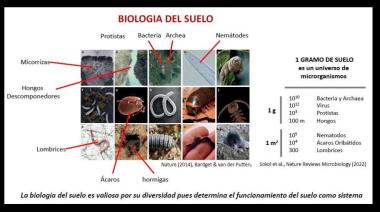 ¿Qué nos dice el suelo? Simbios, la empresa líder en bionutrición de cultivos, trajo a Mendoza a un experto en la materia