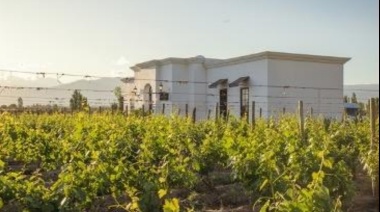 Abre sus puertas Viamonte Winery Lodge: una experiencia de lujo en el corazón de Luján de Cuyo