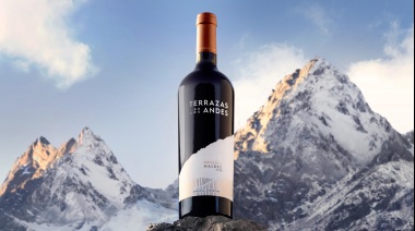 El mejor vino de Argentina por su relación precio calidad se hace en Mendoza (cuál es y cuánto sale)