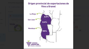 La otra cara del Malbec: también a granel es el varietal más exportado