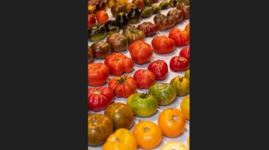 El tomate tuvo su propia fiesta en Casa Vigil