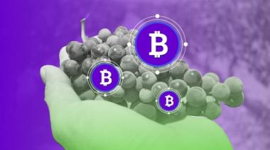 CryptoVendimia, un evento único que fusiona tecnología y tradición en Mendoza
