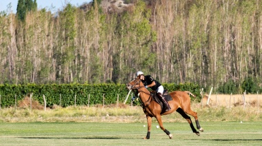 Arte, vinos y mucho glamour en el Valle de Uco: Bodega Château d'Ancón inauguró una cancha de polo en medio de los viñedos