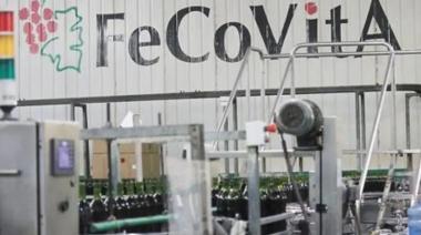 Fecovita aceptó la propuesta de Iberte y Evisa: habrá una auditoría de Ernst & Young
