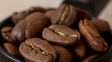 Tres días para aprender, conectar y disfrutar del café de especialidad en Mendoza