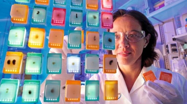 Latinoamérica, motor de crecimiento de la división farmacéutica de Bayer 