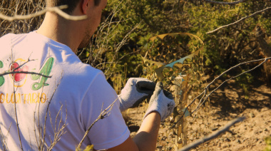 Verallia refuerza su compromiso ambiental en Mendoza con iniciativas de reforestación y sostenibilidad