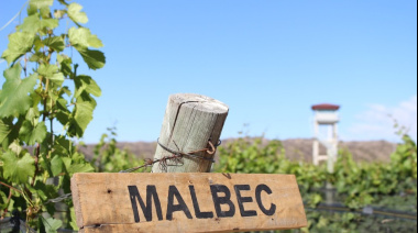 Carcelino, el vino mendocino que nació en una cárcel y da una segunda oportunidad