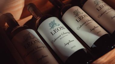 El vino mendocino inspirado en los grandes del mundo, elegido como “descubrimiento del año”