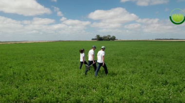 Ganadería regenerativa y datos satelitales: Pastech, el proyecto argentino premiado por Bayer