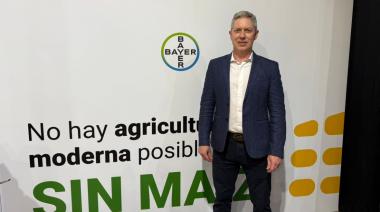 Bayer lo hizo: el maíz floreció en la Pampa semiárida y desafió lo imposible